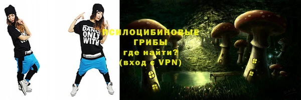 тгк Бронницы