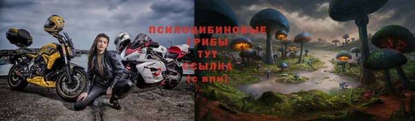 сатива Бугульма